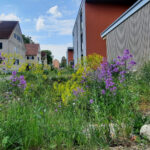TAS_Landschaftsarchitektur_01