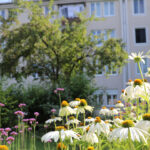COB_Landschaftsarchitektur_München_01